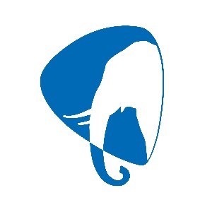 大象吉他俱乐部logo