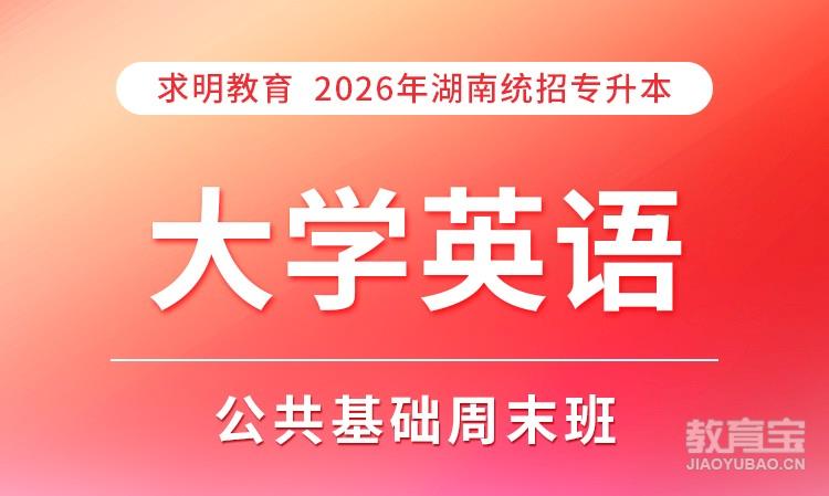 专升本英语基础周末班