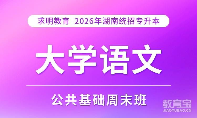 专升本语文基础周末班
