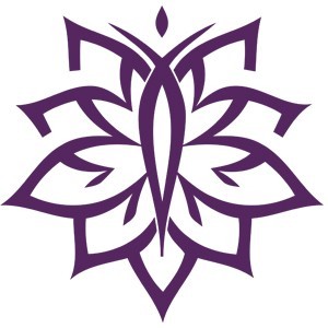 厦门新商贸职业培训学校logo