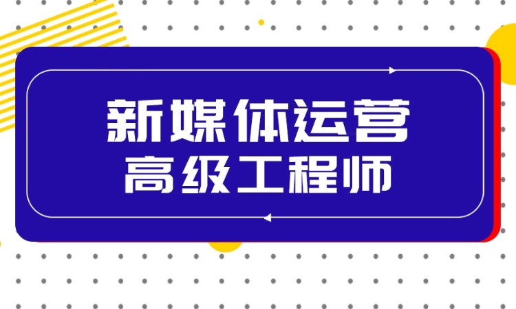 电商+新媒体运营高级工程师
