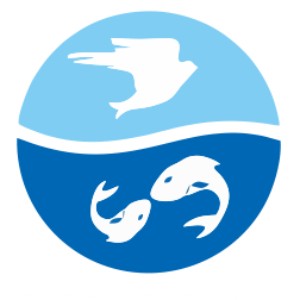 双南国际教育logo