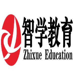 武汉智学教育logo