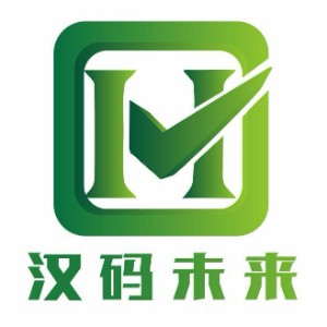 汉码未来logo