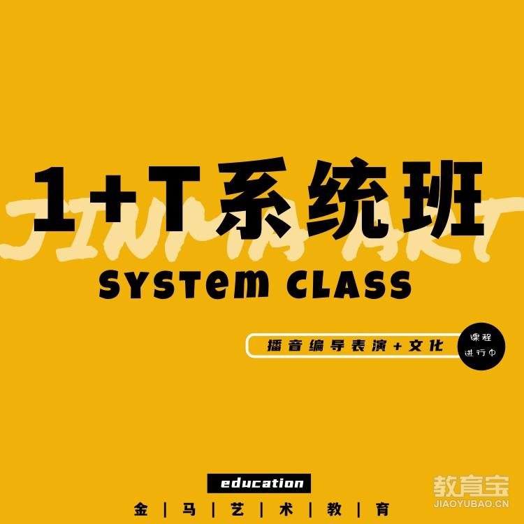 社会艺考生文化课1+T系统课（一）