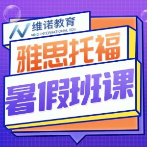北京维诺教育咨询有限公司logo