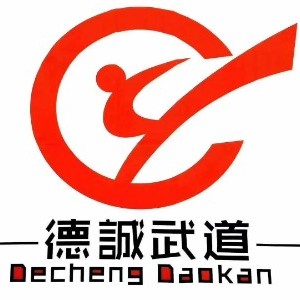 济南德诚武道logo