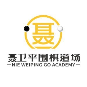 贵阳聂卫平围棋道场logo