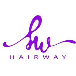 昆明海维化妆logo