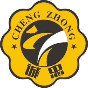 福建诚忠跆拳道logo