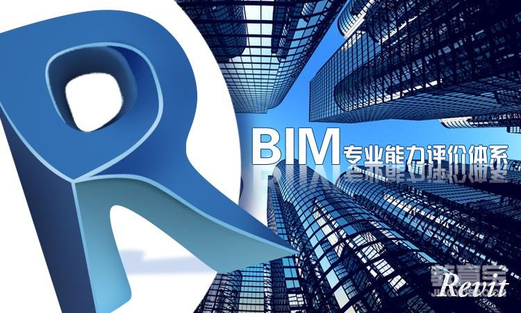 BIM专业能力评价体系
