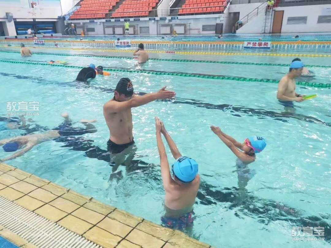 游泳培训