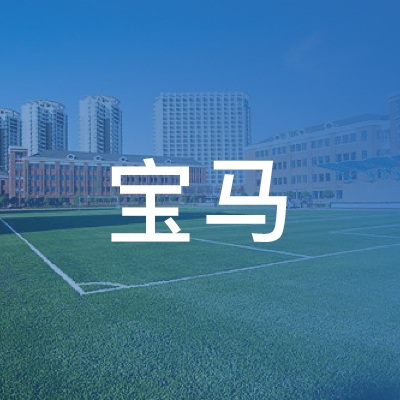 芜湖市宝马职业培训学校logo