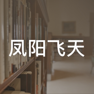 凤阳飞天职业培训学校logo