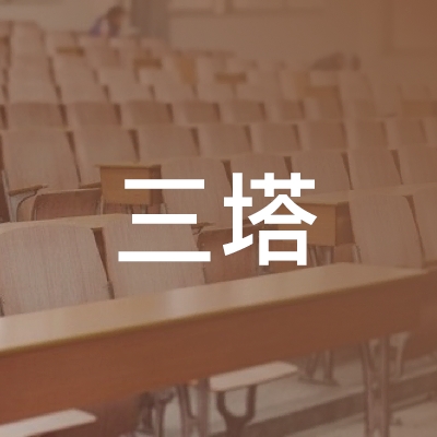 太和县三塔职业培训学校logo