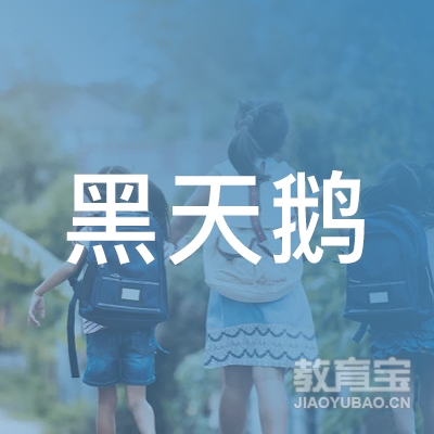 哈尔滨黑天鹅职业培训学校logo