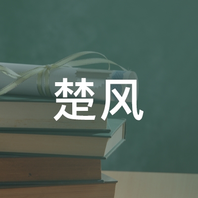 衡南县楚风职业培训学校logo