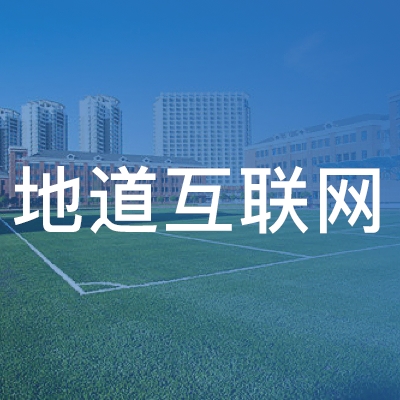 东台市地道互联网职业培训学校logo