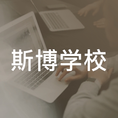 芜湖市斯博文化艺术学校logo