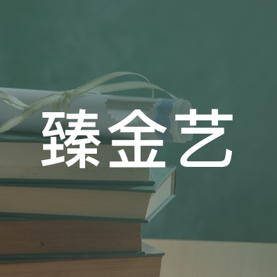 临沂臻金艺艺术培训学校