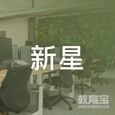 邢台新星培训学校logo