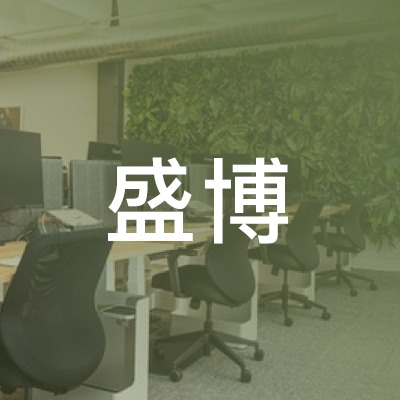 大连盛博文化艺术培训logo