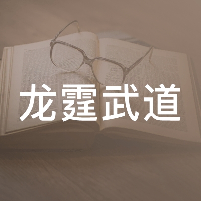 石林彝族自治县龙霆武道培训学校logo