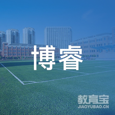 保定博睿艺术培训logo