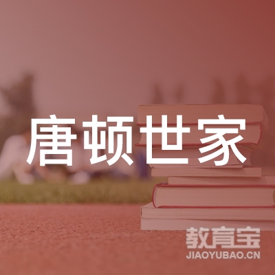 唐顿世家科技（上海）有限公司logo