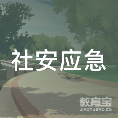 山东社安应急消防职业培训学校有限公司logo