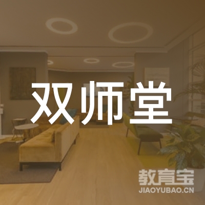 杭州双师堂文化艺术有限公司logo