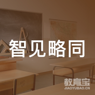 上海智见略同教育科技有限公司