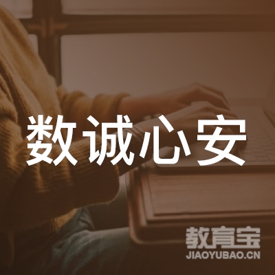 北京数诚心安科技有限公司logo