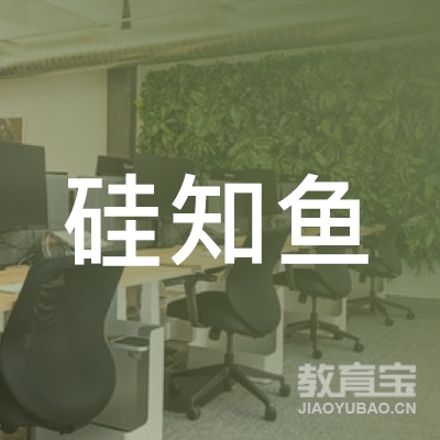 上海硅知鱼教育科技有限公司logo