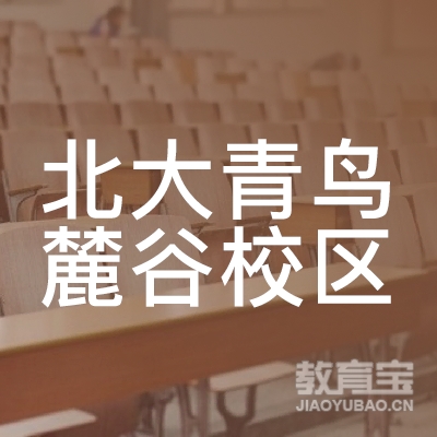 湖南伟宸教育科技发展有限公司logo
