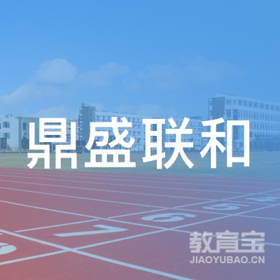深圳市鼎盛联和企业管理咨询有限公司logo