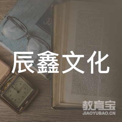 深圳市辰鑫文化教育有限公司logo
