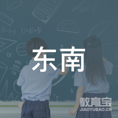 南京东南教育科技有限公司logo