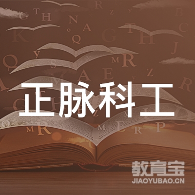 北京正脉科工科技有限公司logo