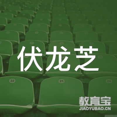 郑州伏龙芝企业管理咨询有限公司logo
