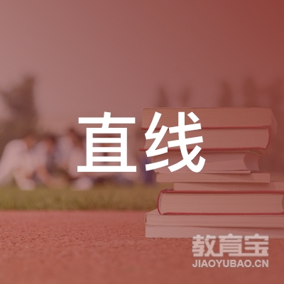 深圳直线管理咨询有限公司logo