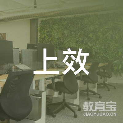 广州上效企业管理有限公司logo