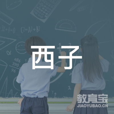青岛西子美业教育咨询服务有限公司logo