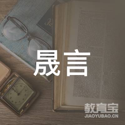 南京晟言企业管理咨询有限公司logo