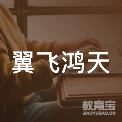 深圳市翼飞鸿天无人机科技有限公司logo