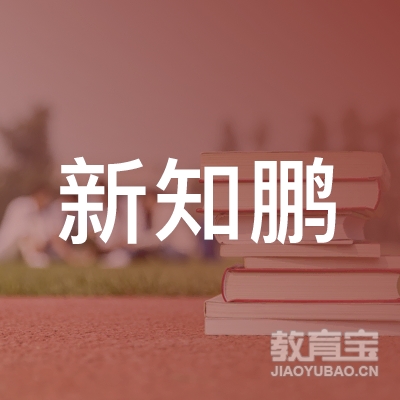 合肥新知鹏信息科技有限公司logo