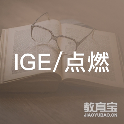 点燃教育科技（天津）有限公司logo