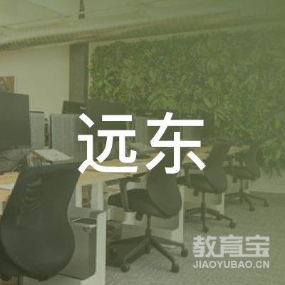 深圳市远东教育投资有限公司logo