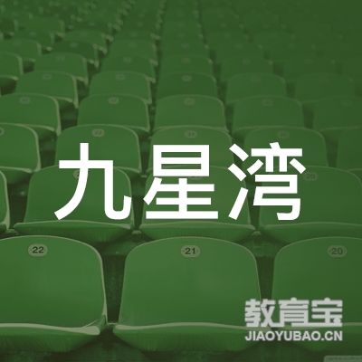 南京九星湾教育咨询有限公司logo