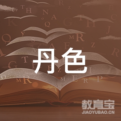 济南丹色教育咨询logo